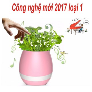 Loa bluetooth kiêm chậu trồng cây Cao Cấp