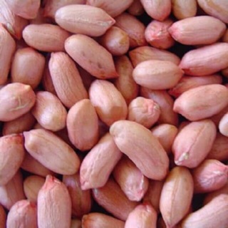 Lạc quê(lạc chay)bóc tay thơm ngon