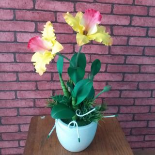 Chậu Hoa Lan Hoàng Hậu bằng đất sét