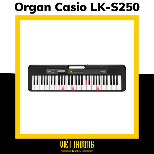 Đàn organ Casio LK-S250 - Việt Thương Music