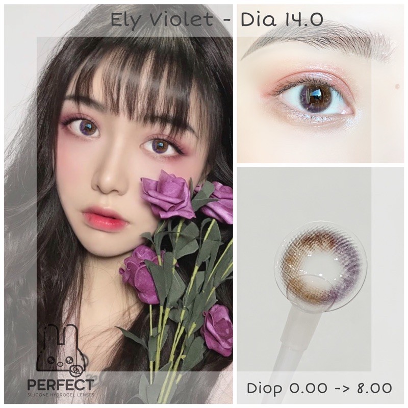 LINK 2 (GIÁ 1 CHIẾC) 14.0 (0.00->8.00) Lens Ely Violet - Kính Áp Tròng