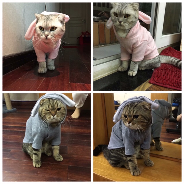 Áo cho chó cún poodle mèo con thú cưng lớn giữ ấm cho mùa đông chất bông len, quần áo cho thú cưng dành cho chó mèo