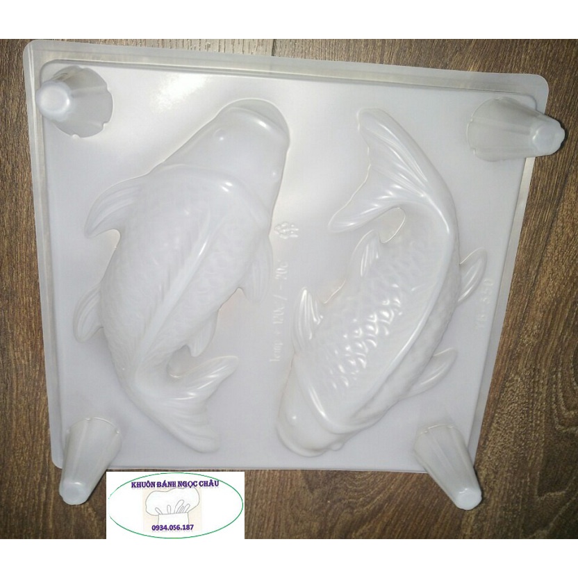 Khuôn hình đôi cá chép