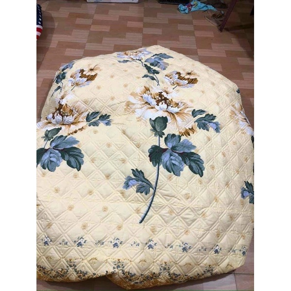 Ga giường bo chun trần bông + 2 vỏ gối nằm đủ kích thước