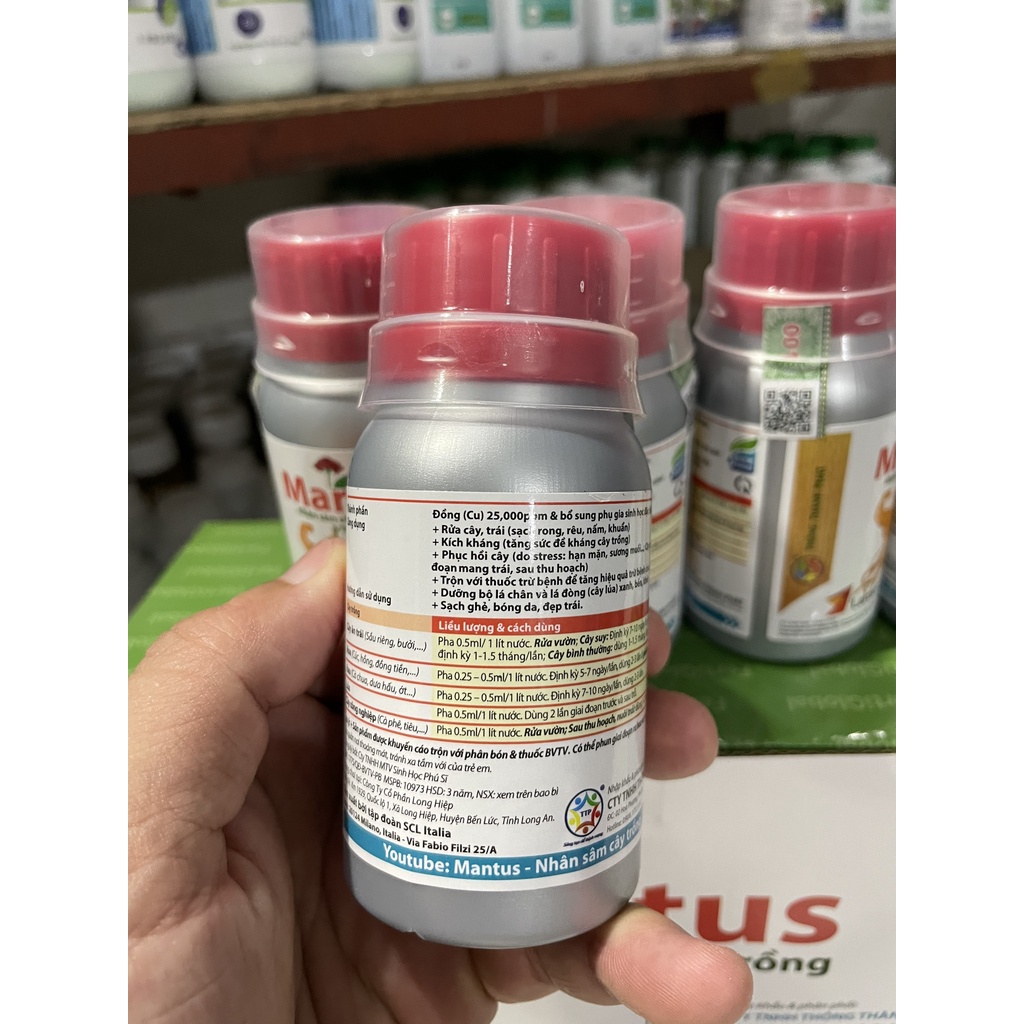 Mantus - Nhân Sâm Cây Trồng