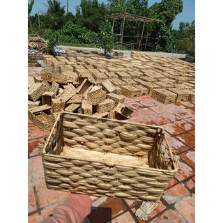 combo 4 khay lục bình