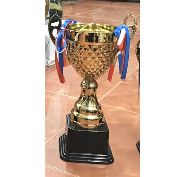 Cúp thể thao,cúp lưu niệm ,cúp đẹp,bền,họa tiết sắc sảo  và giá rẻ-hàng phân phối chính hãng