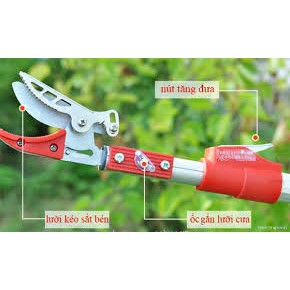 Kéo Hái Quả Kết Hợp Cưa Cành Trên Cao Dài 3M-4M-5M, Kéo Cắt Cành Cây Trên Cao,