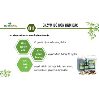 ENZYM BỒ HÒN