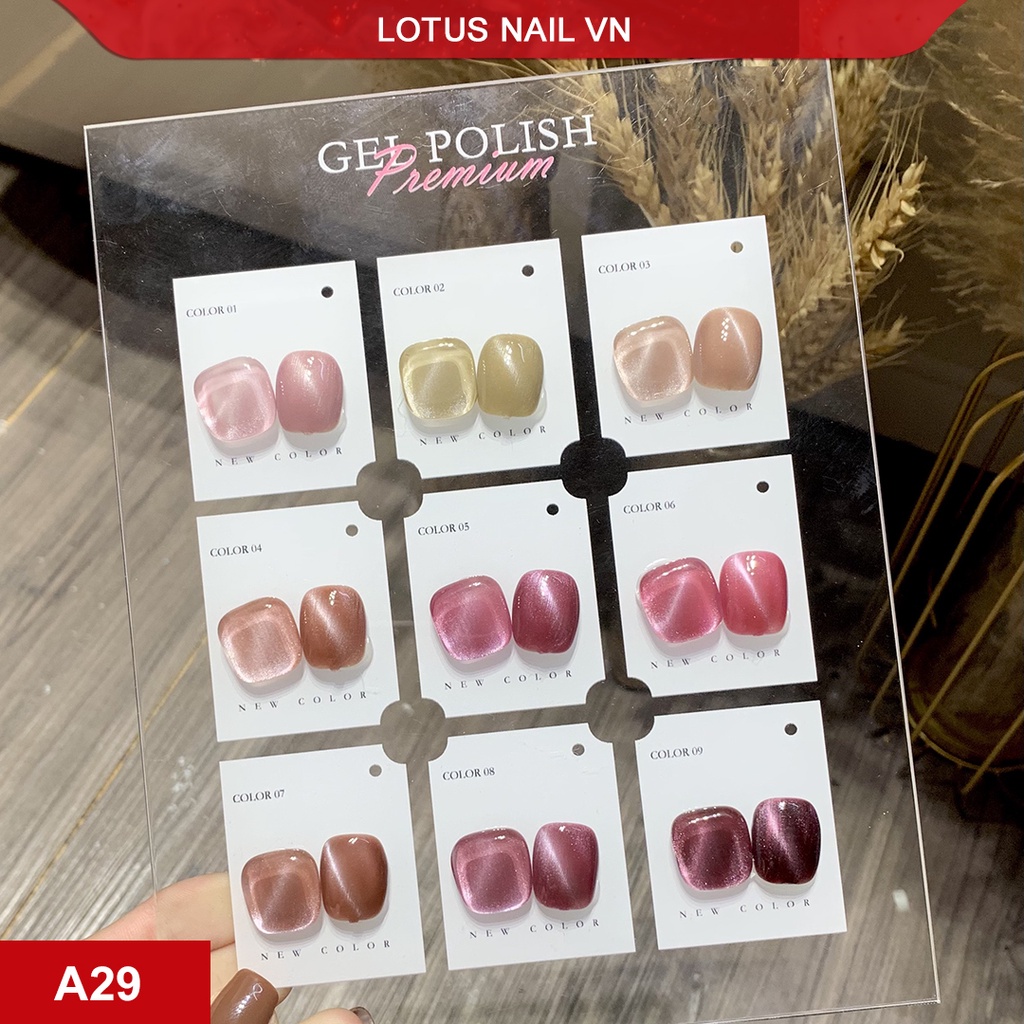 Set sơn gel Vendeeni 9 màu cao cấp - made in Japan chai 15ml tặng kèm bảng màu