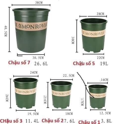 Chậu Monrovia, chậu hoa hồng 3 Gallon MONVNX3