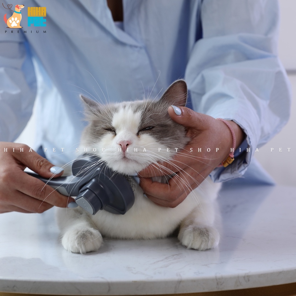 Lược Chải Lông Rối Cho Chó Mèo Có Nút Ấn Tự Động Chất Liệu Thép Không Gỉ Giá Rẻ.