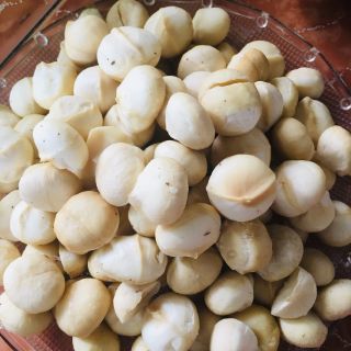 Ngũ cốc lợi sữa