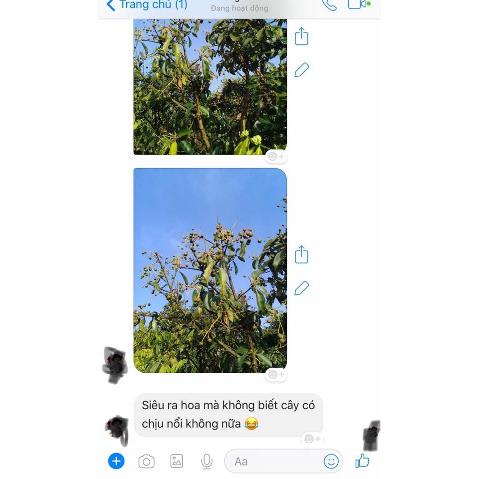 CHẾ PHẨM SINH HỌC SIÊU RA HOA HLC 500ml hàng chính hãng công ty