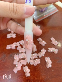 Hoa bột nailcuc ruby
