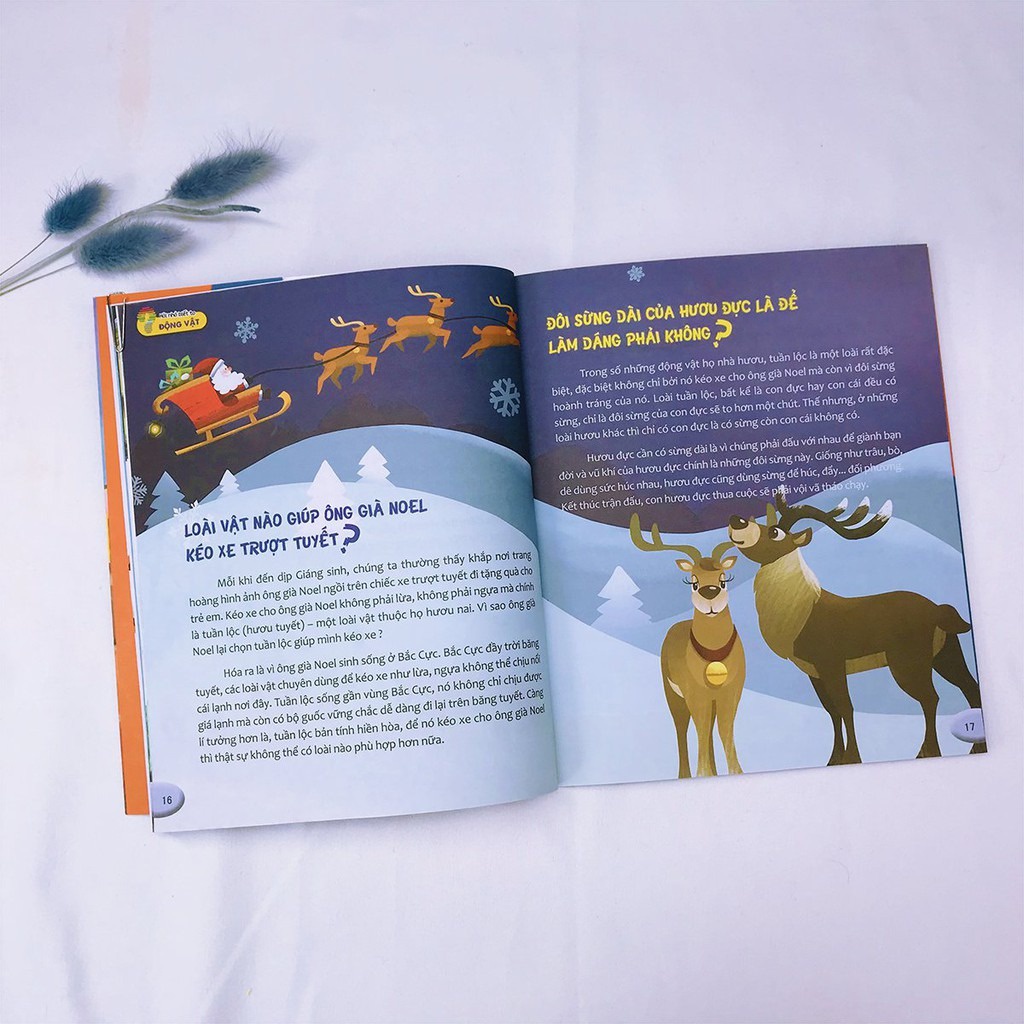 Sách - Hỏi nhỏ biết to ( NHIỀU CHỦ ĐỀ )