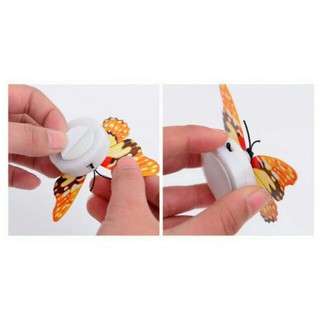 Bộ bướm 3D có đèn LED