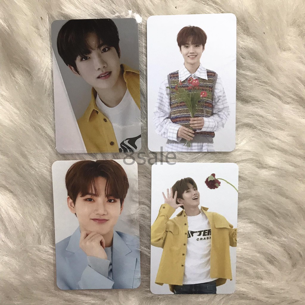 TREASURE | Official photocard (Ảnh thần tượng các loại)