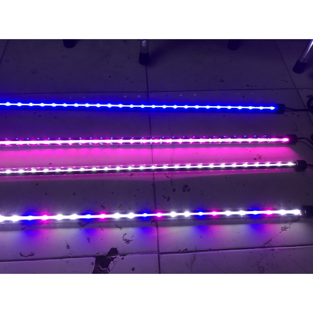 Đèn Led Caibao T4, Trang Trí Bể Cá Với Các Màu Trắng, Xanh, Hồng Và 3 Màu. Có Công Tắc Tắt Bật Đèn