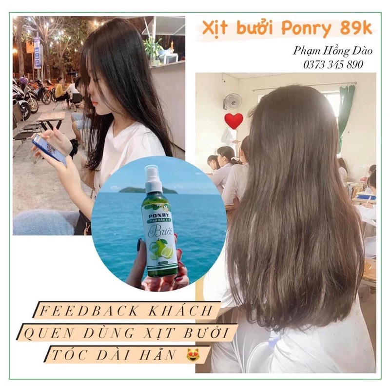 Combo cho sỉ Xịt bưởi Ponry