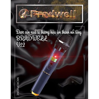 Micro không dây BRADWELL V2 BH 2 năm