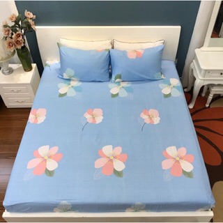 Ga lẻ cotton 100%