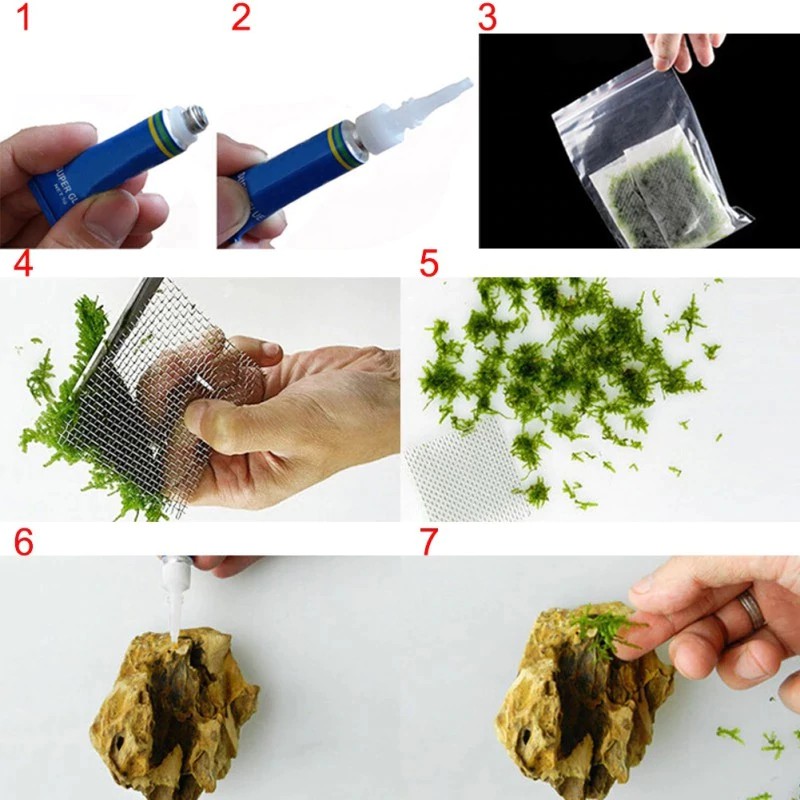 Keo dán dưới nước: dán san hô, dán lũa, dán rêu, dán rêu lên đá