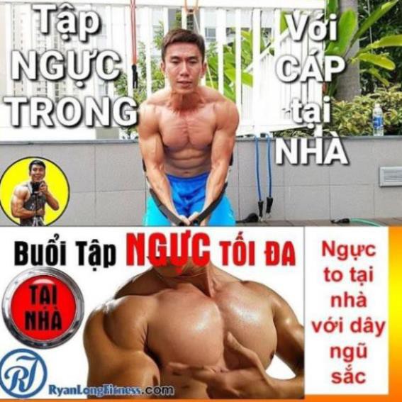 Bộ 5 Dây tập Gym ngũ sắc ,tập gym tập thể hình móc kim loại