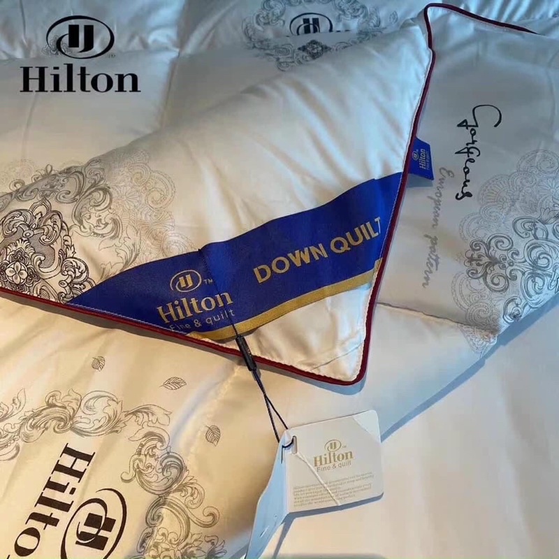 Ruột chăn lông vũ HILTON