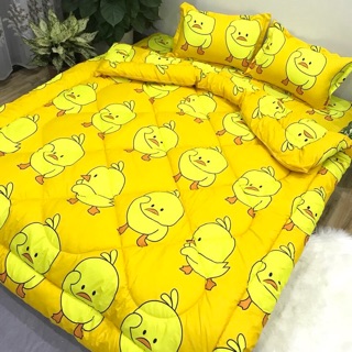 Set ga gối chăn phao poly cotton