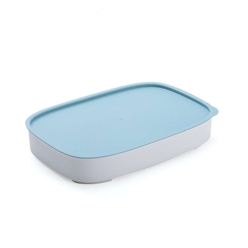 Kitchen Refrigerator Food Storage Box Dumplings Vegetable Organizer