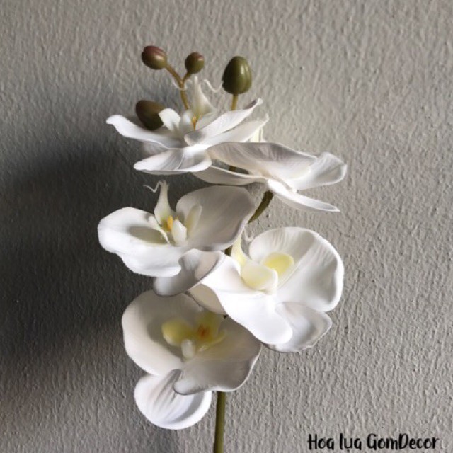 Hoa lan cao su lan hồ điệp giả đẹp trang trí siêu cao cấp