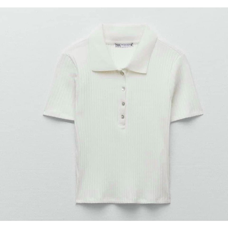 ÁO POLO CỔ VIỀN CÚC | BigBuy360 - bigbuy360.vn