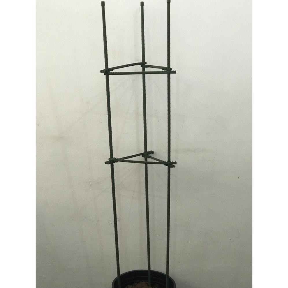 TAM GIÁC - KHUNG TRỒNG CÂY Dùng để đỡ cây, giữ không cho cây đổ ngã, giúp cây hoa đứng vững không bị nghiêng gãy đổ cây