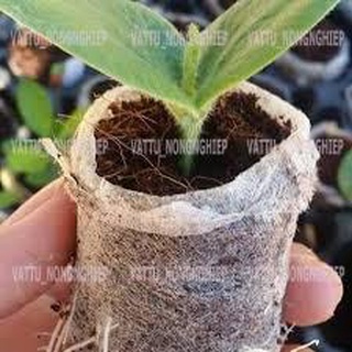 Gói 100 viên nén xơ dừa ươm hạt