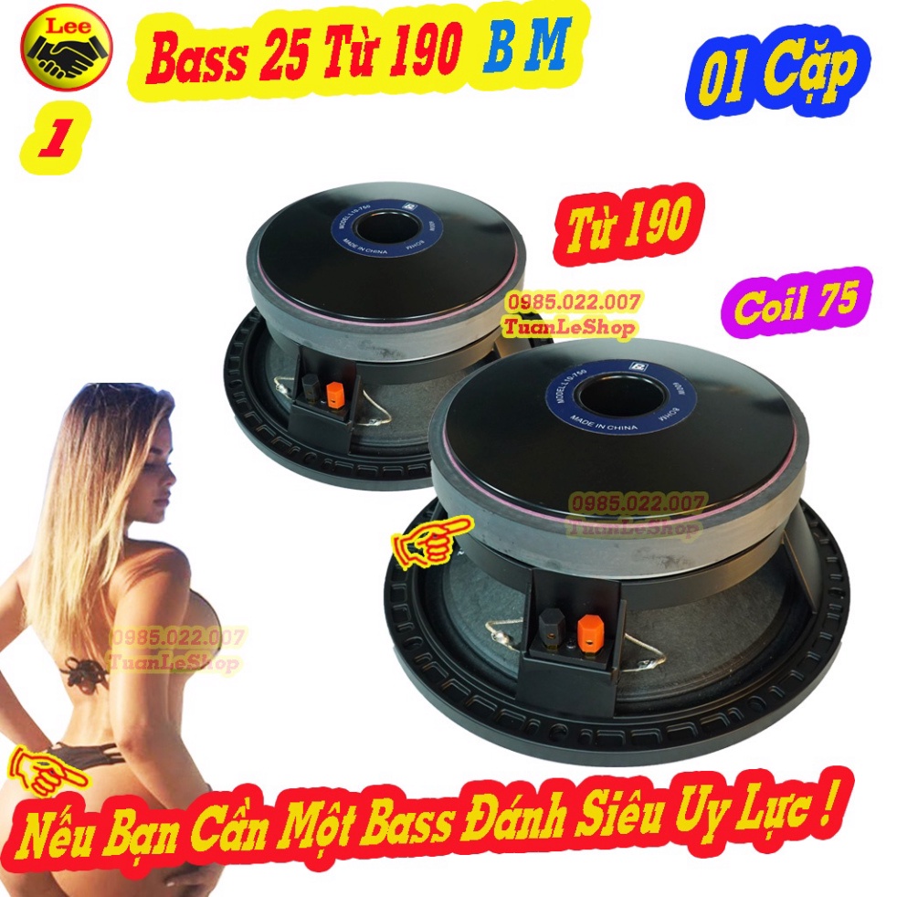 LOA BASS 25 COI 75 TỪ 190, LOA 2 TẤC RƯỠI BM – GÁI 02 CHIẾC