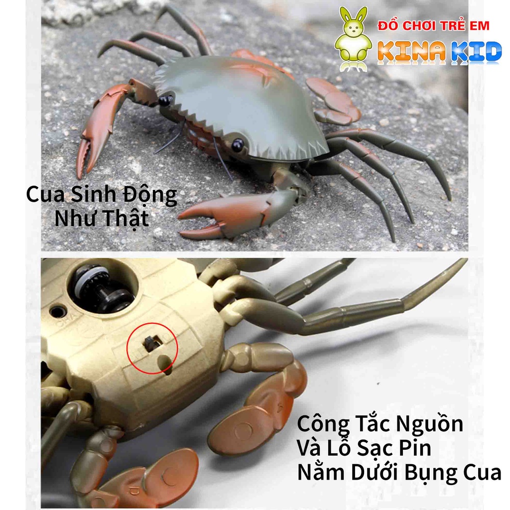 Đồ chơi con cua điều khiển từ xa Crab, biết đi giống như thật