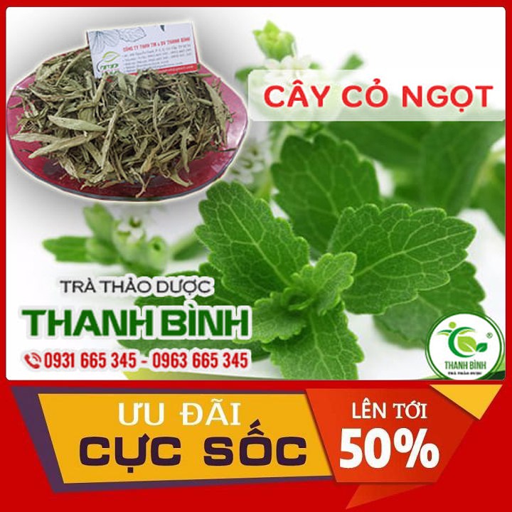 Cây Cỏ Ngọt 1kg