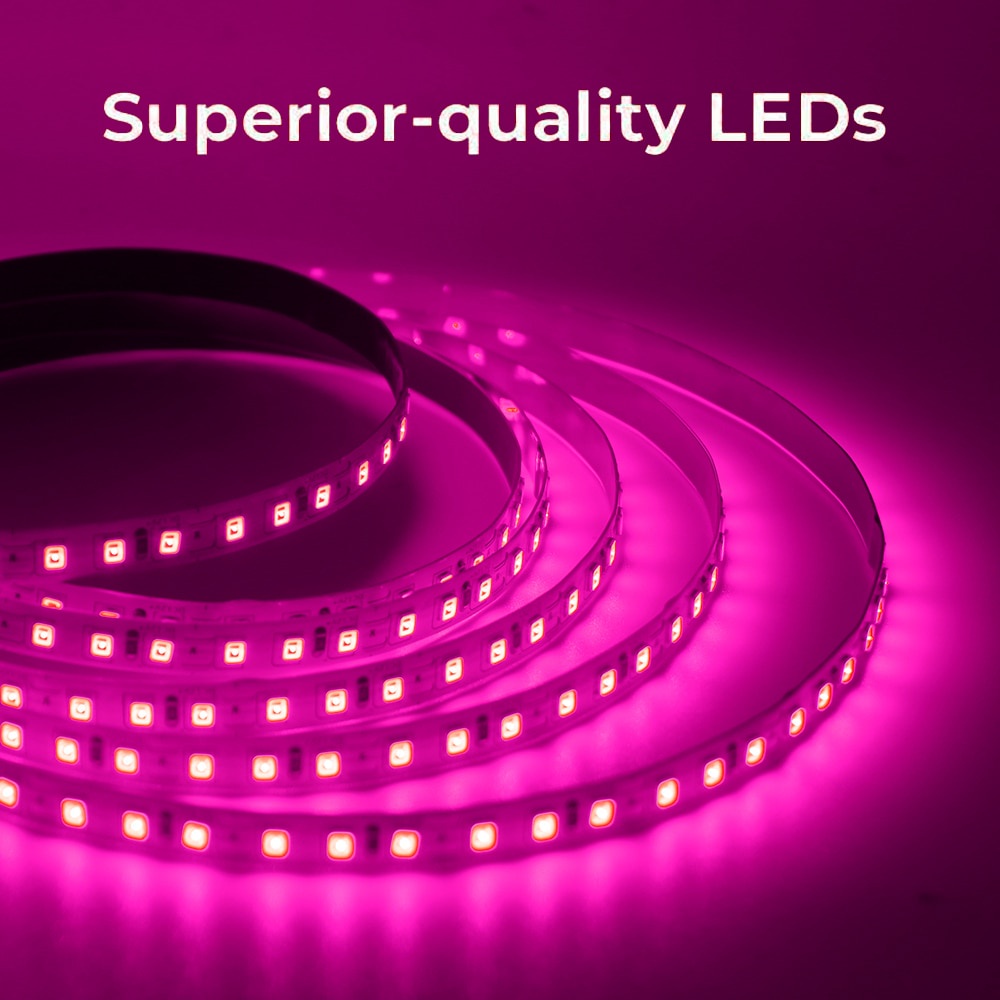 Dây Đèn LED 5m 12V 60 Bóng 2835 Ánh Sáng Trắng Ấm / Lạnh Trang Trí Nhà Cửa