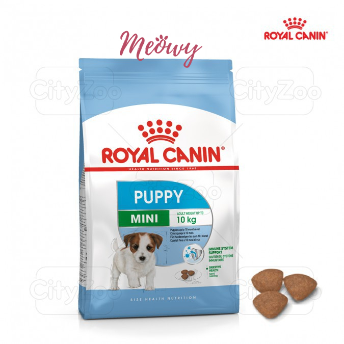 [2kg] hạt Royal Canin Mini cho chó dưới 10 kg