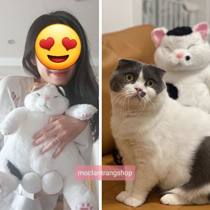 Mèo bông tam thể có bi to xinh lông mềm Hỏa Tốc gấu thú nhồi bông hình mèo quà tặng sinh nhật noel Tết cho bạn gái 8/3