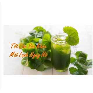 1KG BỘT RAU MÁ NGUYÊN CHẤT 100%