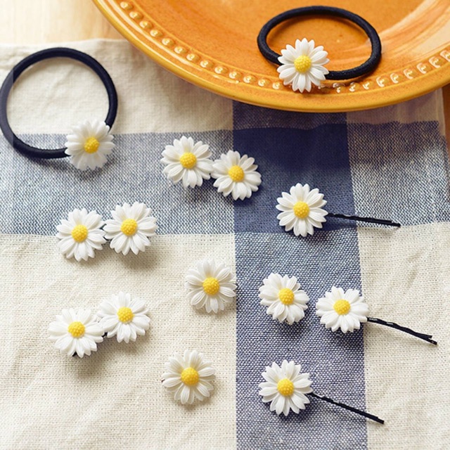🌼🌼🌼Cúc hoạ mi🌼🌼🌼🌼
