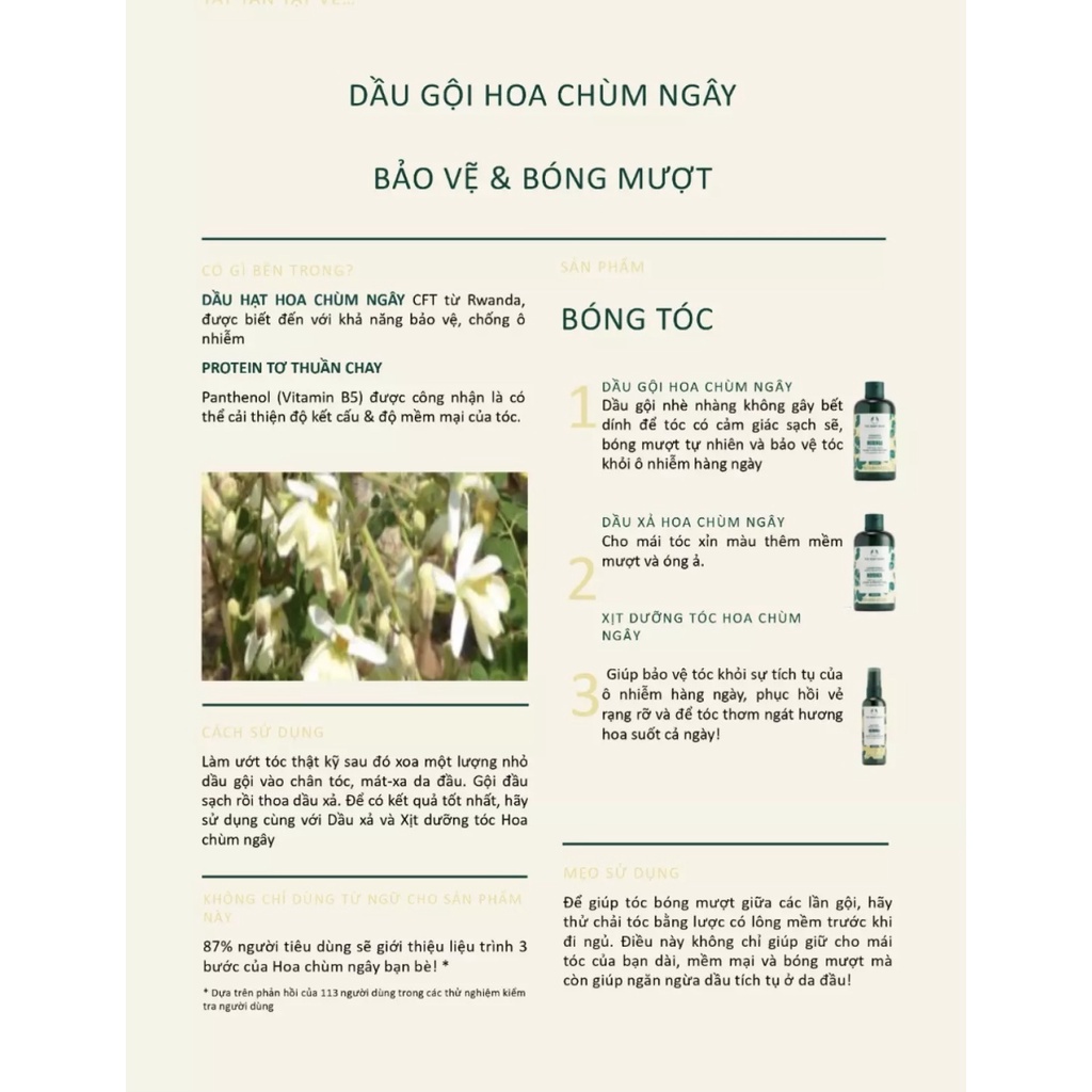 Dầu gội xả phục hồi tóc moringa the body shop shampoo gel 250ml
