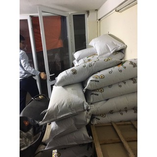 Set 5kg hạt ngô Mỹ (làm bắp rang bơ)