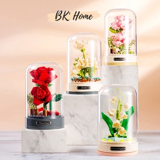 Đồ chơi lắp ráp DIY hoa hộp nhạc có chuyển động hãng Jaki 