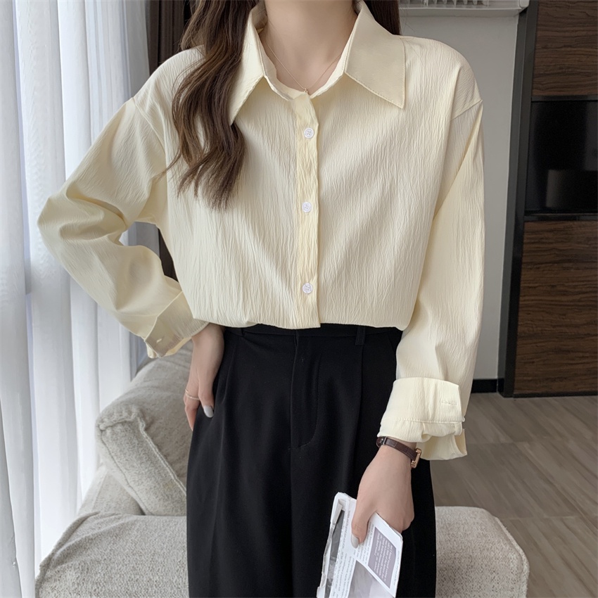 Áo Sơ Mi Trắng Tay Dài Phong Cách Pháp Thời Trang Mùa Xuân Cho Nữ