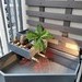 Thanh Đa Năng Gỗ Nhựa Giàn Hoa  Ngoài Trời Composite  Kích Thước 71 mm x 11 mm x 1000 mm. Đẹp Như Gỗ Nhưng Lại Chịu Nước