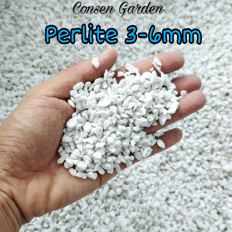 Đá Perlite - Đá Trân Châu Trồng Sen Đá Túi 1 Kg