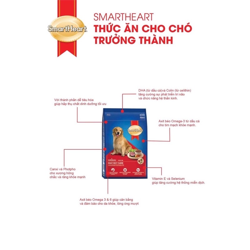 Thức ăn cho chó Smartheart vị bò nướng 1kg5